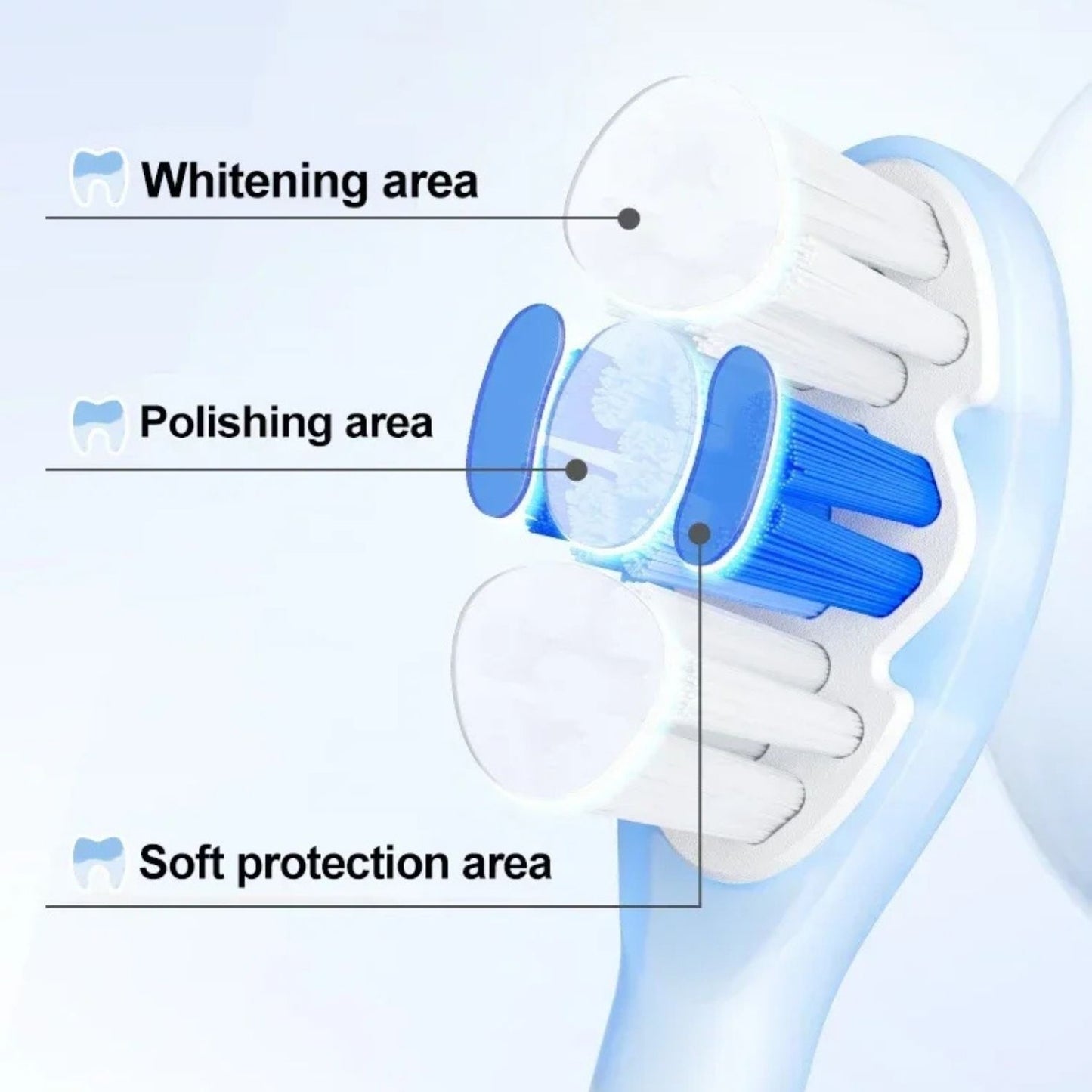 Sonic Electric Toothbrush